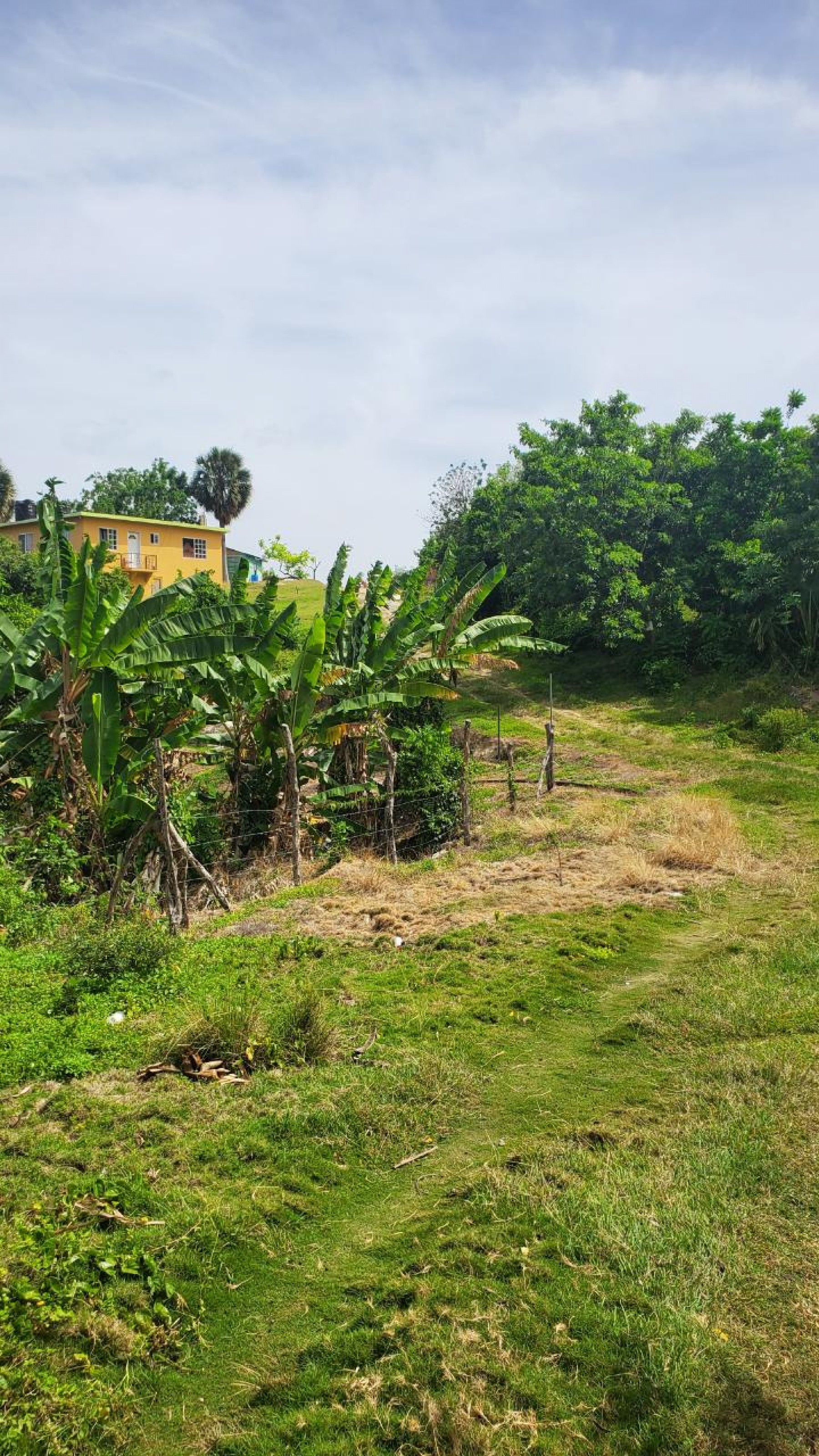 Kayifi Buy, Sell & Rent Tropical Real Estate