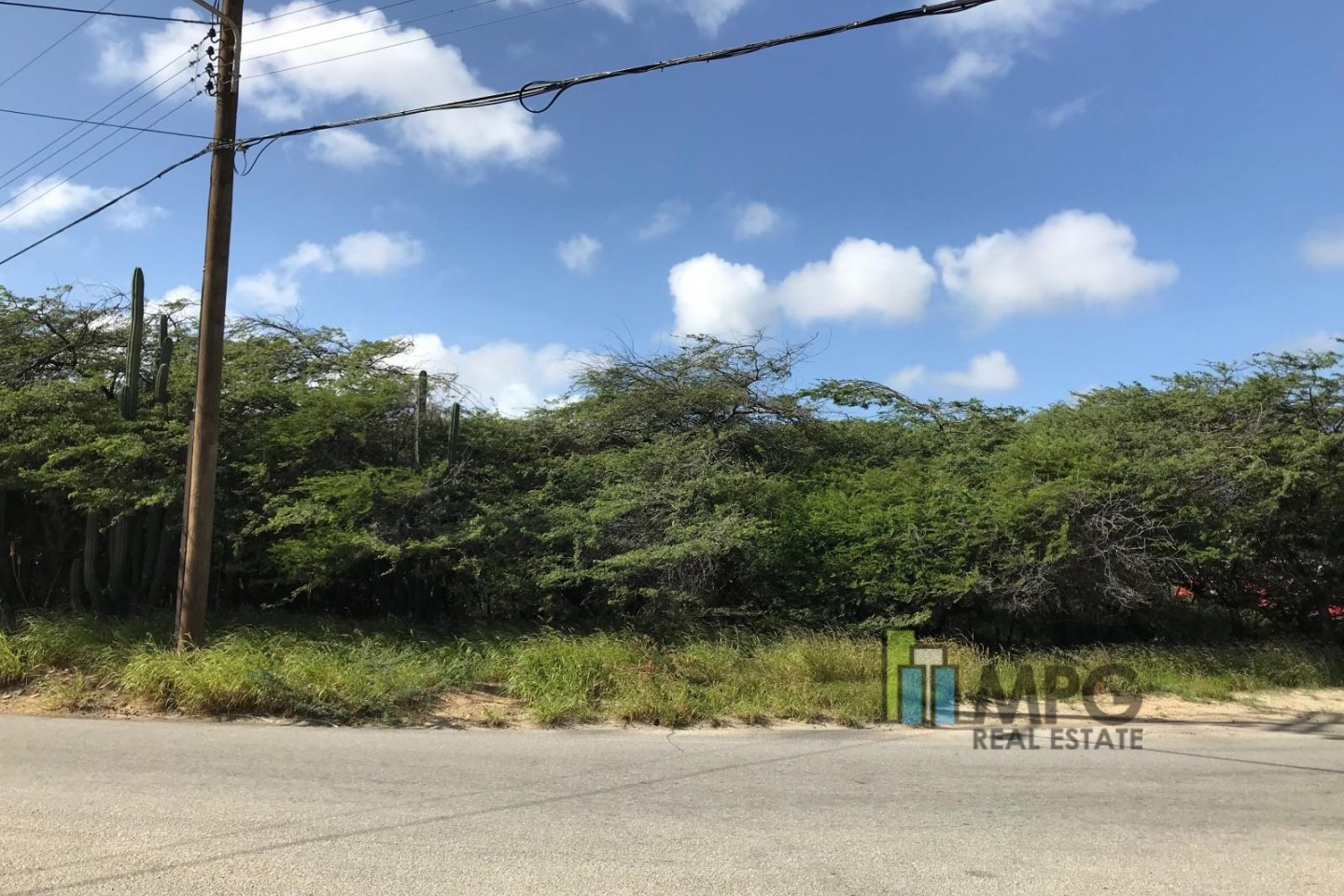 rent carribean property